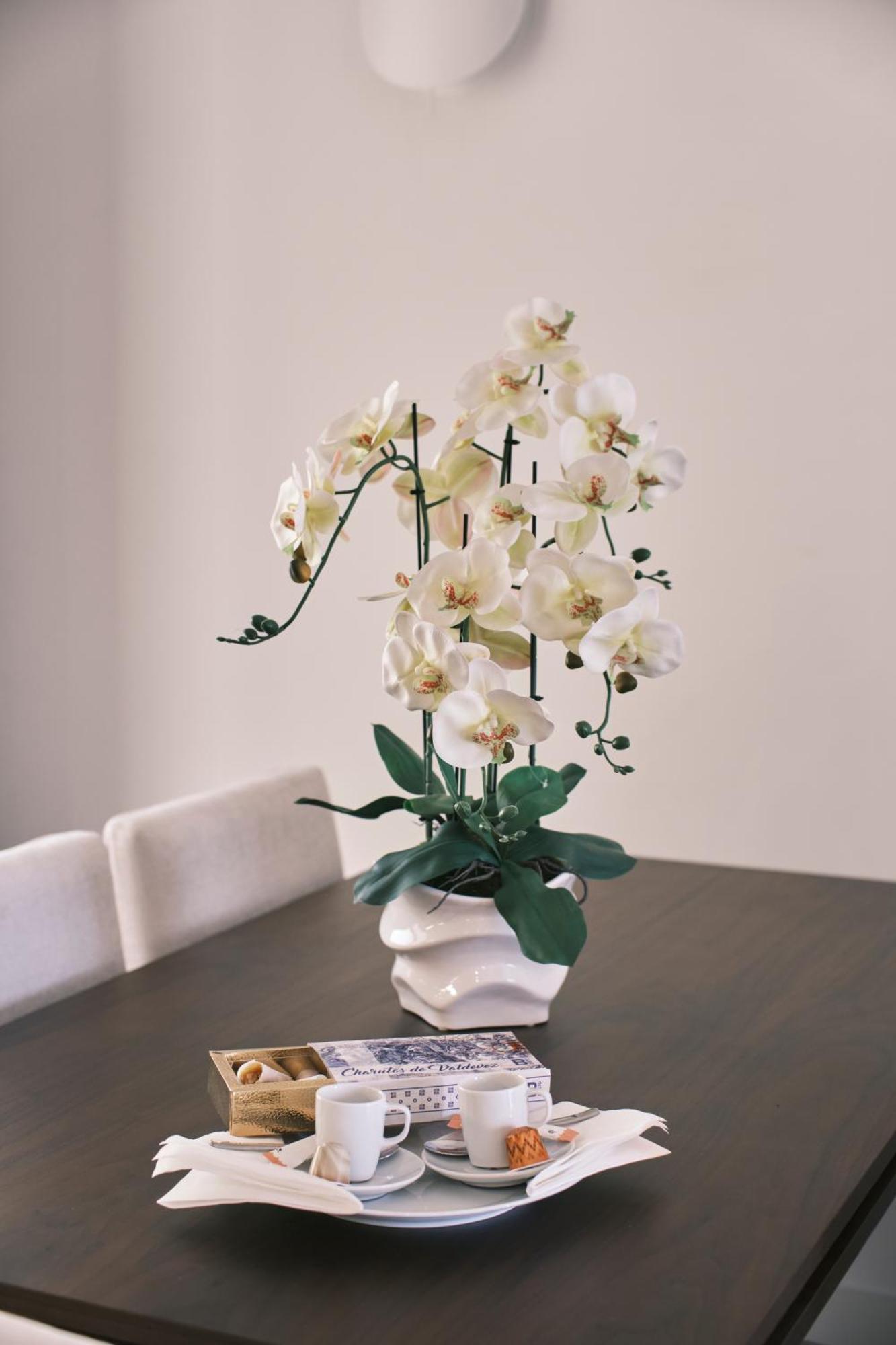 Apartment Quinta Da Mourinha